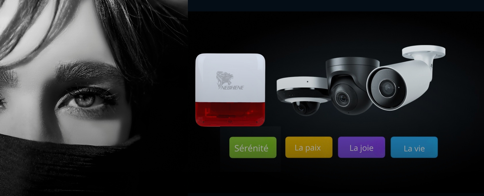 installation alarme Tunisie